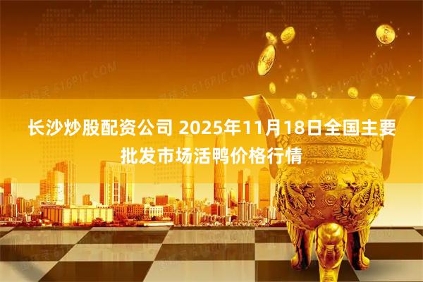 长沙炒股配资公司 2025年11月18日全国主要批发市场活鸭价格行情
