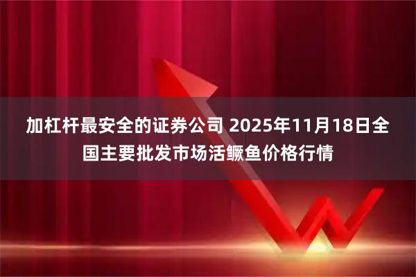 加杠杆最安全的证券公司 2025年11月18日全国主要批发市场活鳜鱼价格行情
