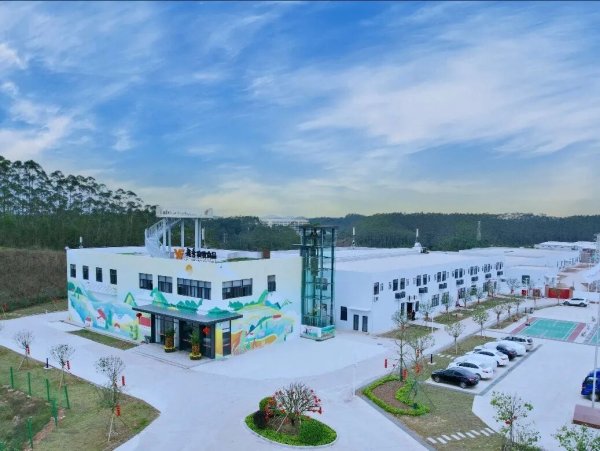 长沙炒股配资公司 “十四五”成就｜封开依托“一鸡一猪三棵树”，走出农业振兴好路子