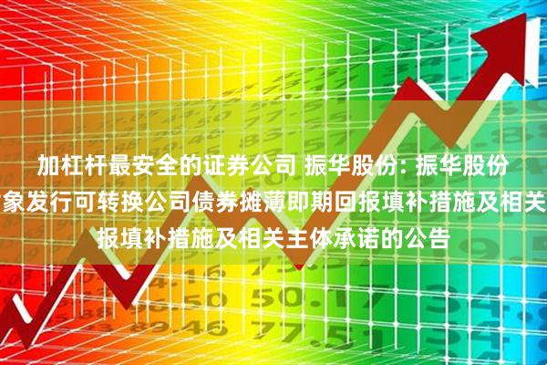 加杠杆最安全的证券公司 振华股份: 振华股份关于向不特定对象发行可转换公司债券摊薄即期回报填补措施及相关主体承诺的公告