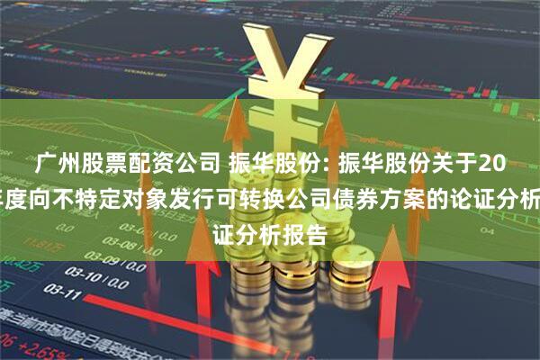 广州股票配资公司 振华股份: 振华股份关于2026年度向不特定对象发行可转换公司债券方案的论证分析报告